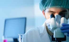 04microistock_000017803429xsmall 04microistock_000017803429xsmall