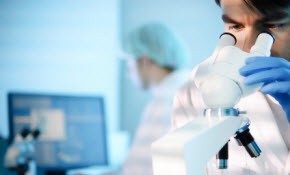 06micro2istock_000018607128xsmall 06micro2istock_000018607128xsmall