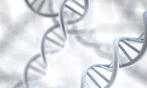 07dnaistock_000019005992xsmall 07dnaistock_000019005992xsmall