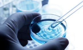 10petriistock_000016354947xsmall 10petriistock_000016354947xsmall